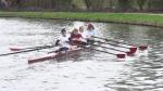 144 RobRoy Juniors Brown W J16 4x-, 1 of 1