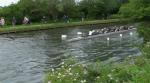 Murray Edwards W2 +3 HD