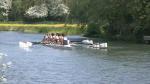 305 Selwyn College M8+ 8m57